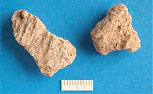 Fig. 2. Example of ash produced in a dedicated MBM biomass plant which sticks to superheater tubes and results in reduced efficiency